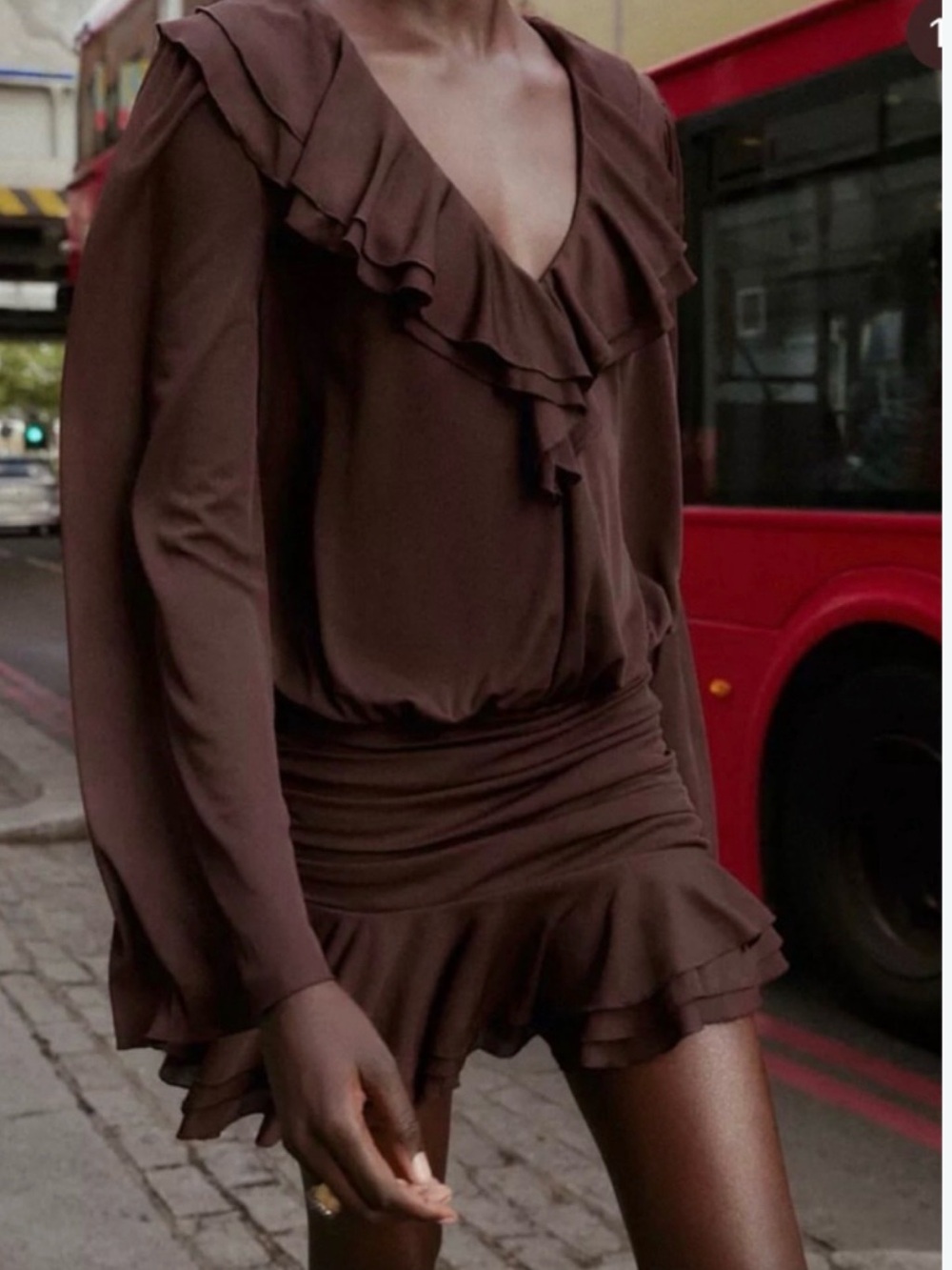 Zara Ruffled Mesh Mini Dress